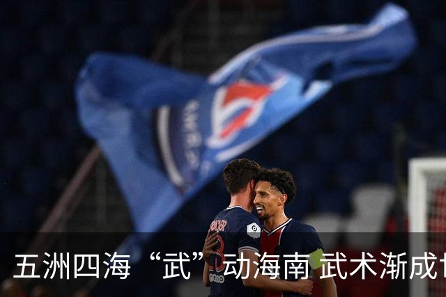 五洲四海“武”动海南 武术渐成世界语言