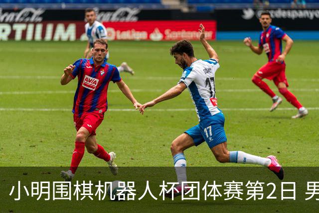 小明围棋机器人杯团体赛第2日 男子乙组北京上海领跑