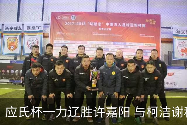 应氏杯一力辽胜许嘉阳 与柯洁谢科许皓鋐进4强