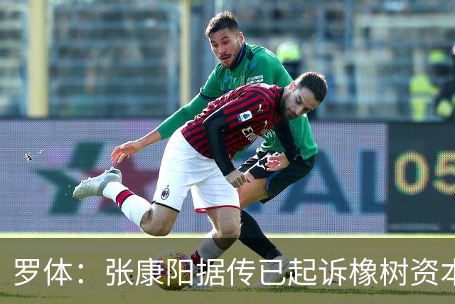 罗体：张康阳据传已起诉橡树资本索赔，诉讼价值可达4.5亿欧元
