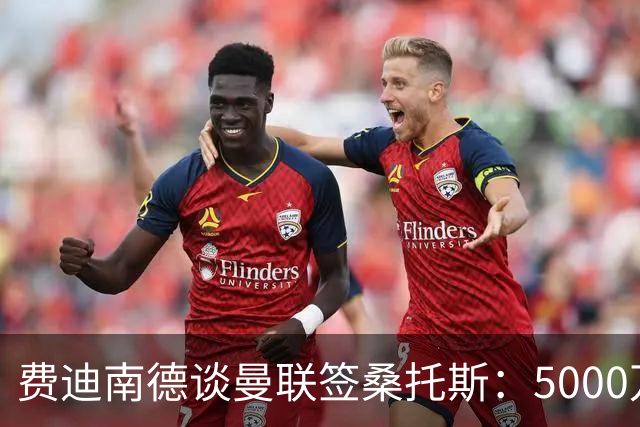 费迪南德谈曼联签桑托斯：5000万镑签未来10年巴西国脚中场贵吗？