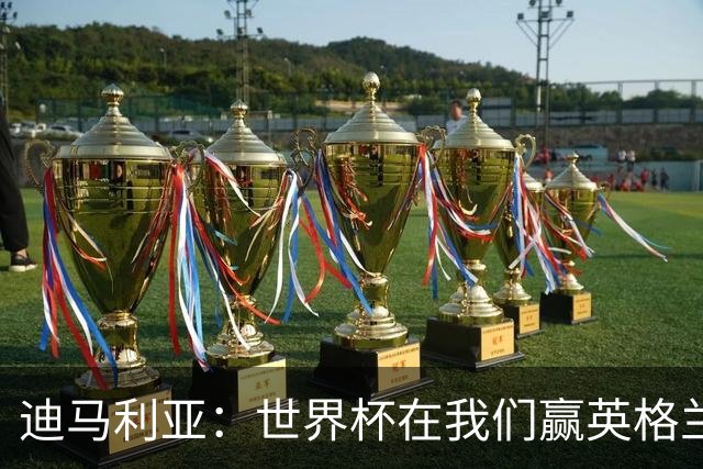 迪马利亚：世界杯在我们赢英格兰后就结束了；梅西还能踢很多年