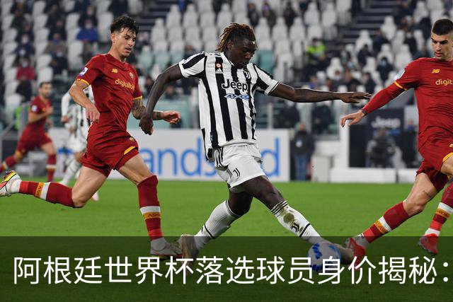 阿根廷世界杯落选球员身价揭秘：马斯坦托诺领衔4500万欧